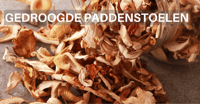 KOOP GEDROOGDE PADDESTOELEN